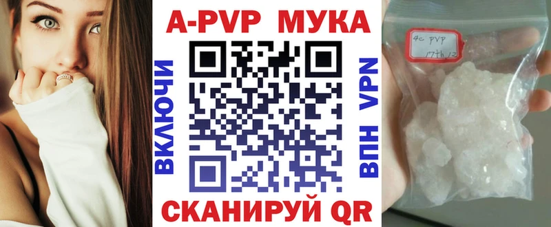 KRAKEN как войти  Игарка  A-PVP крисы CK 